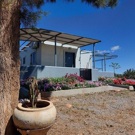 Pounta Apartments Βιγκλάφια Εξωτερικό φωτογραφία