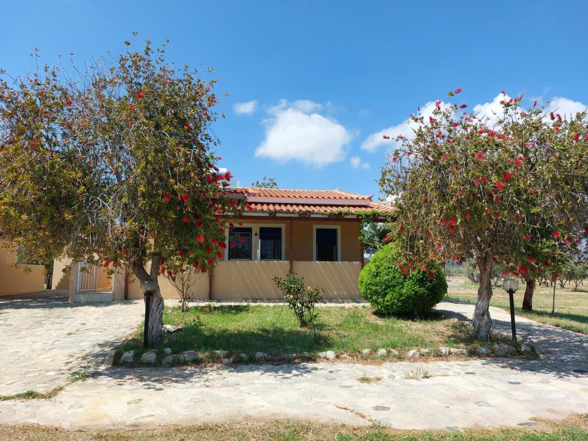 Pounta Apartments Βιγκλάφια Δωμάτιο φωτογραφία