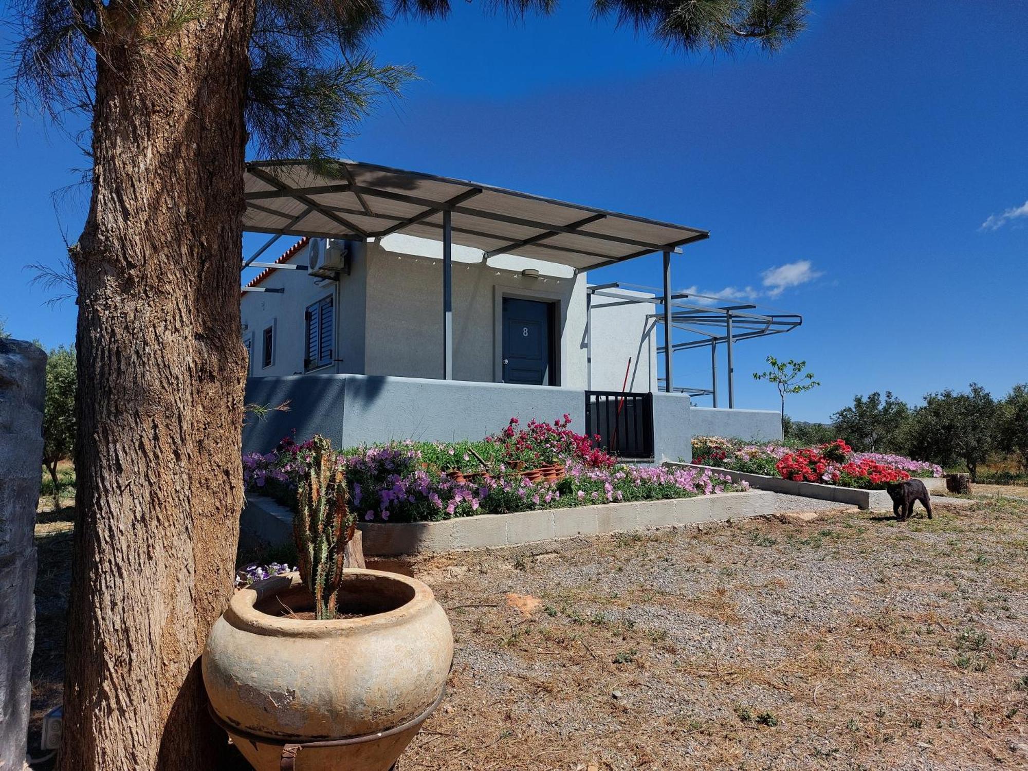 Pounta Apartments Βιγκλάφια Εξωτερικό φωτογραφία